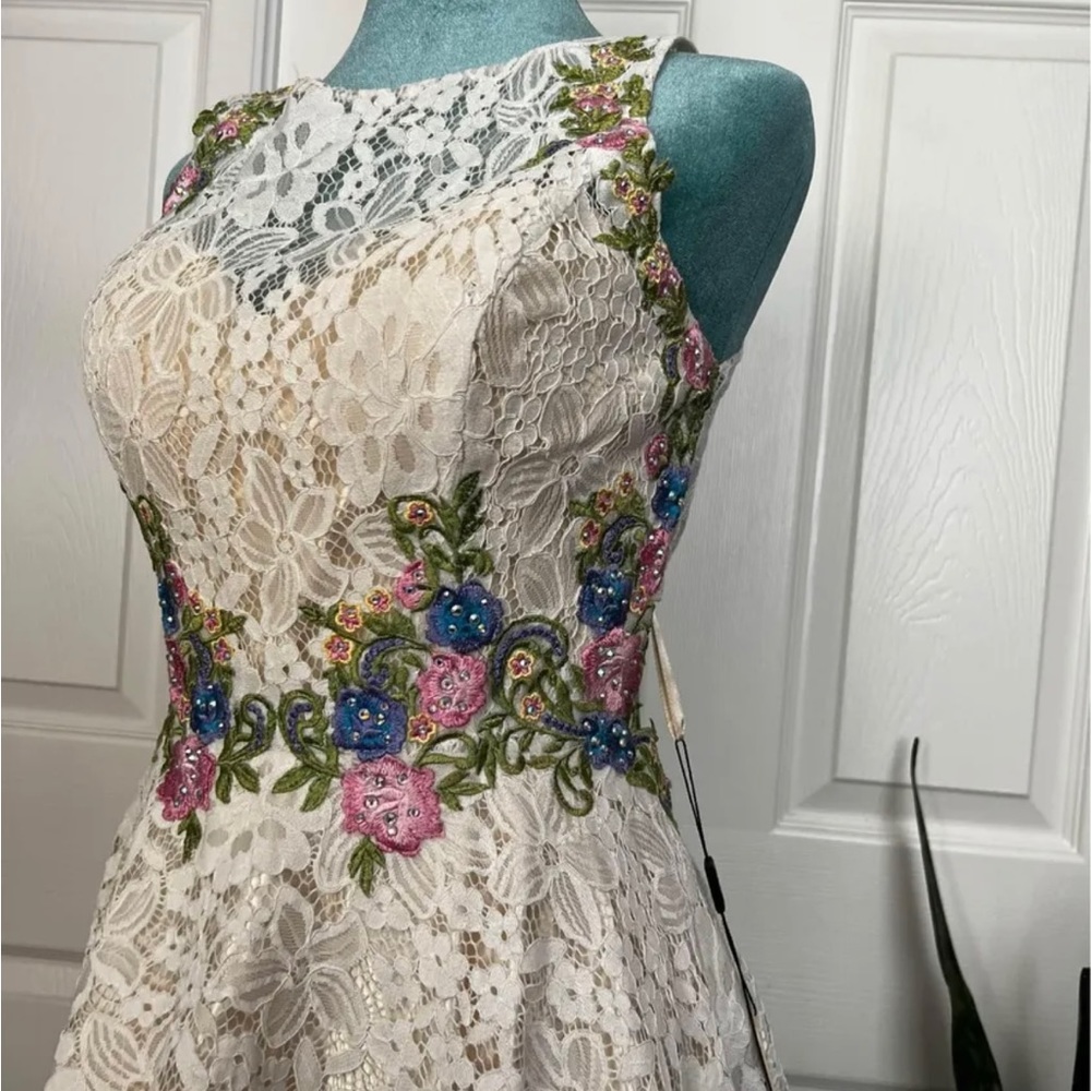 Beautiful lace dress with embroidery